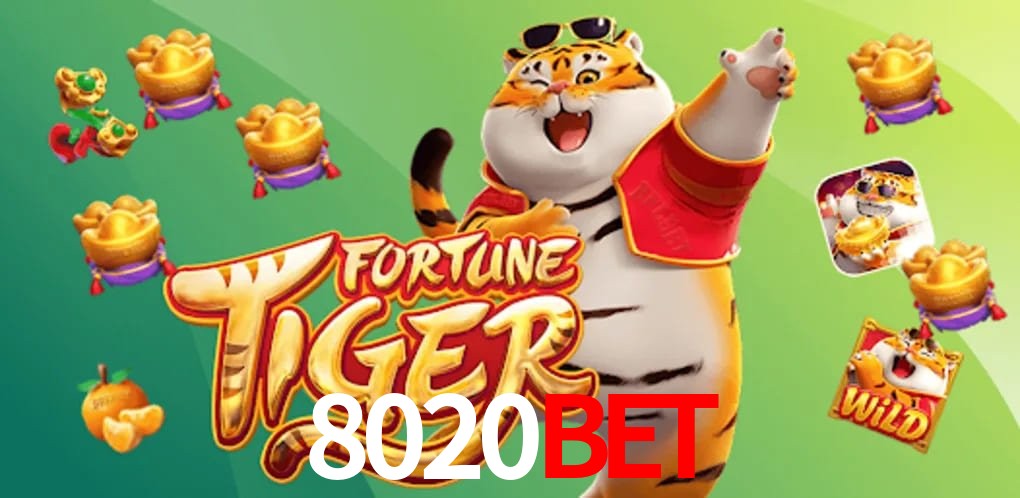 Security Systems 8020bet